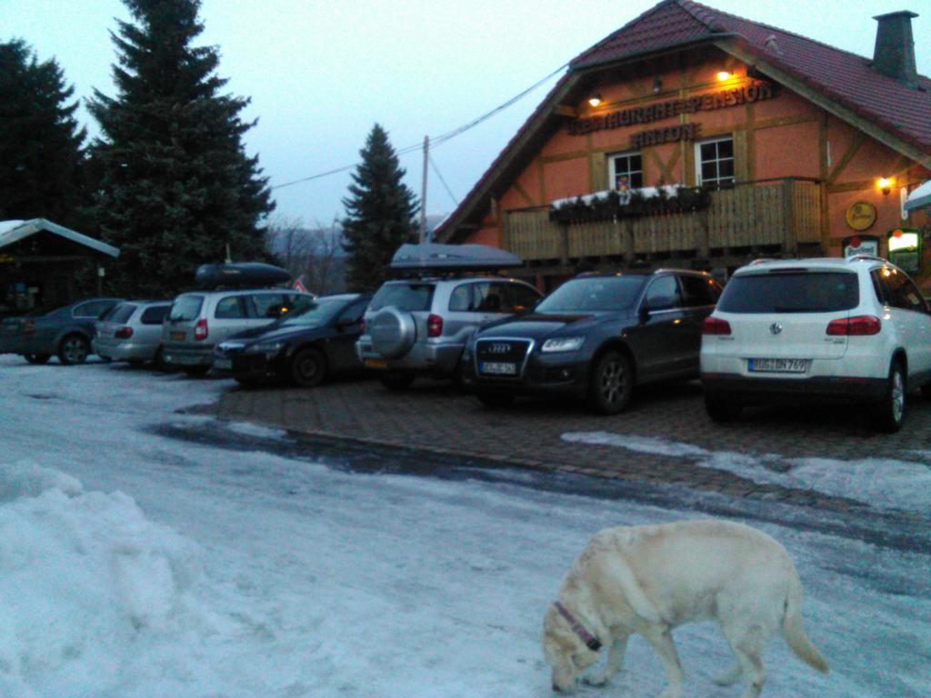 Restaurant Pension-Anton Jachymov Exterior photo